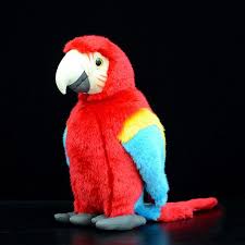 parrot 